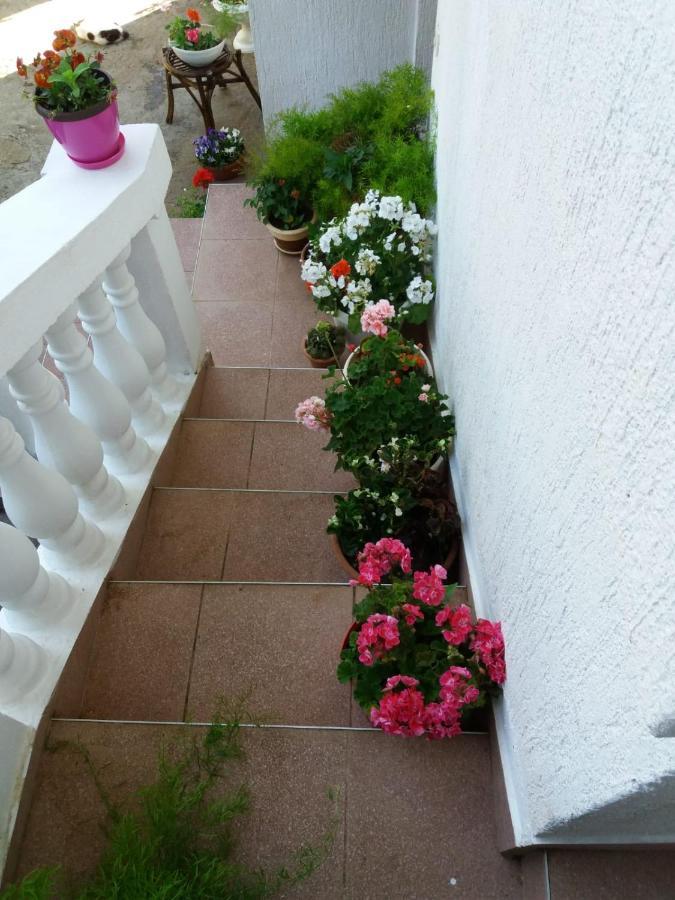 Apartman Sunce Raslina Eksteriør billede