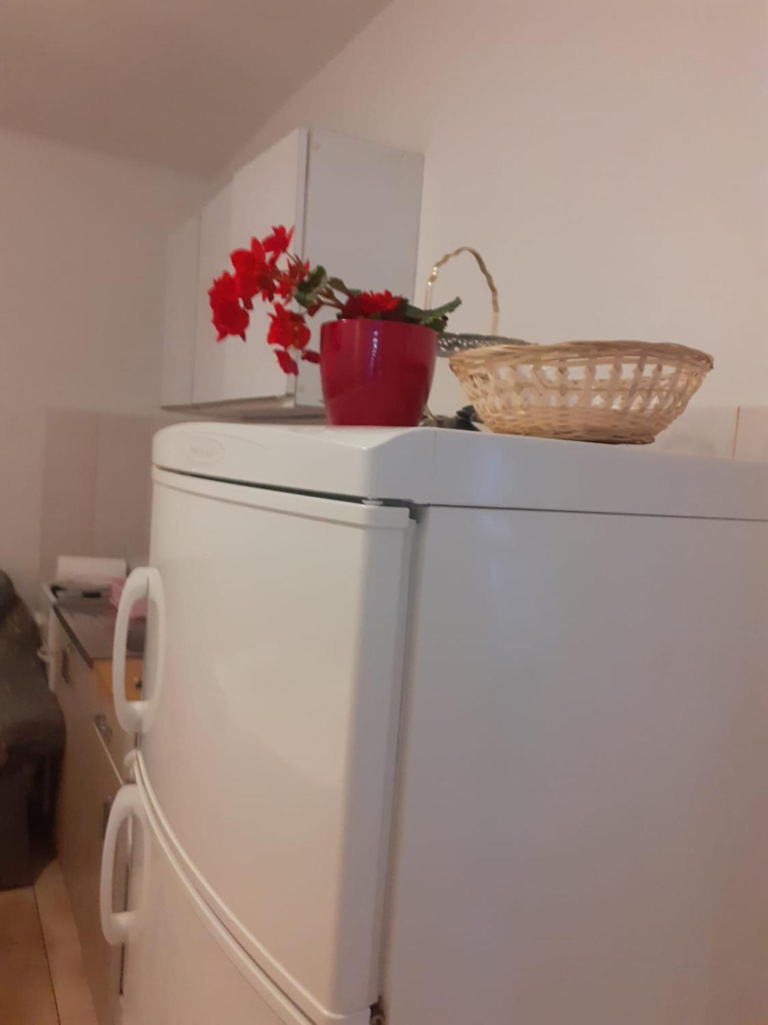 Apartman Sunce Raslina Eksteriør billede